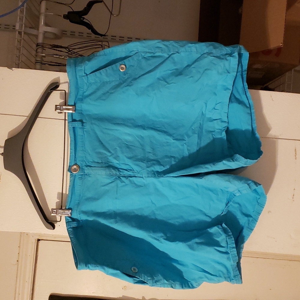 Teal shorts